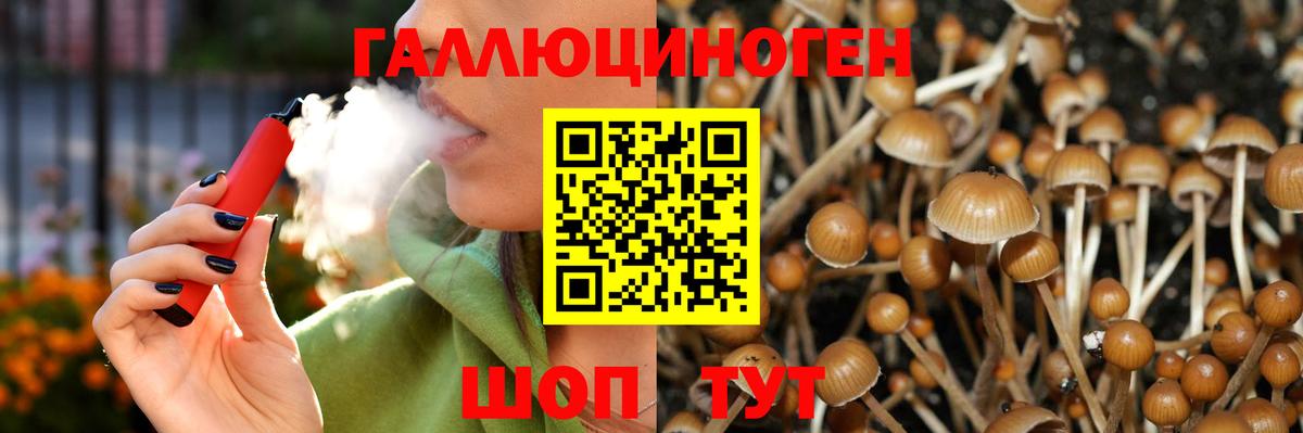Отрадное  дарнет шоп  Вход с VPN  Псилоцибиновые грибы Psilocybe 